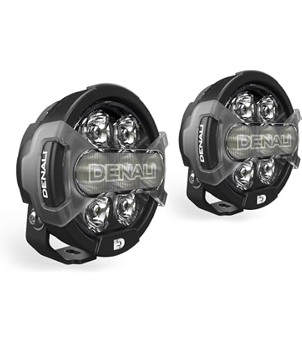 Amazon.com: DENALI CANsmart Controller GEN II for BMW K1600, R